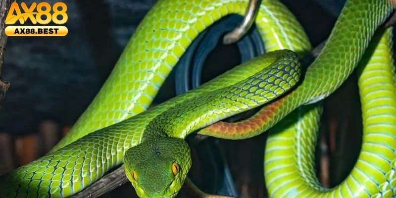 Những con số tài lộc ẩn sau vận may bản thân