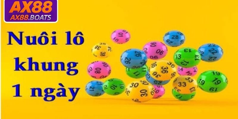 Các cách nuôi lô khung 1 ngày hiệu quả