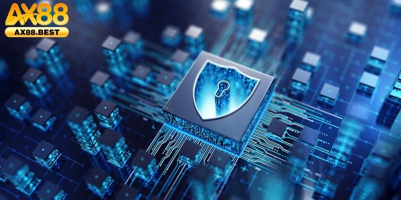 Tìm hiểu phạm vi của chính sách